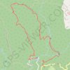 Trace GPS 🚶 Trace boucle la donis a ravine Baron, itinéraire, parcours
