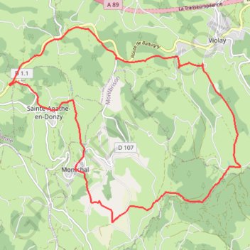 Trace GPS Montagnes du Matin - Sainte-Agathe-en-Donzy, itinéraire, parcours