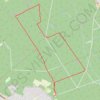 Trace GPS Marche nordique en forêt de Sénart, itinéraire, parcours