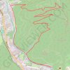 Trace GPS Thann - Roche Albert - Grumbachkopf - Bitschwiller - Thann, itinéraire, parcours