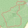 Trace GPS Zamia Trail, itinéraire, parcours
