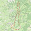 Trace GPS Thizy / Lac des Sapins, itinéraire, parcours