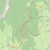 Trace GPS Circuit Raquette du Grand Carroz, itinéraire, parcours