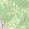 Trace GPS Le Velay des 3 Rivières - Le Bois de Chanteroux - Dunières, itinéraire, parcours
