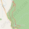 Trace GPS Tristania Falls - Crystal Shower Falls - Wonga Walk, itinéraire, parcours