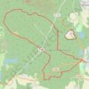 Trace GPS Balade en forêt d'Ermenonville, itinéraire, parcours