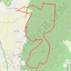Trace GPS Forêt de Mantuan, itinéraire, parcours