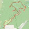 Trace GPS Collobrières - Menhirs du Plateau Lambert - Laves du Desteou, itinéraire, parcours