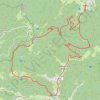 Trace GPS Alsace Haut Rhin Mollau col des perches gresson rimbach col de rimbach mollau, itinéraire, parcours