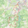 Trace GPS Envolée Verte - Andrézieux-Bouthéon, itinéraire, parcours