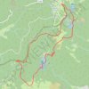 Trace GPS Rouge Gazon, Neuweiher, Lac des Perches, itinéraire, parcours