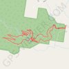Trace GPS Kondalilla Falls - Rock Pools Loop, itinéraire, parcours